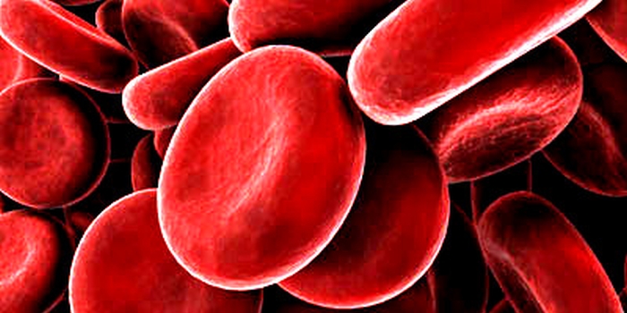 Kraujospūdžiui įtakos turi gyvenimo būdas - DELFI Sveikata